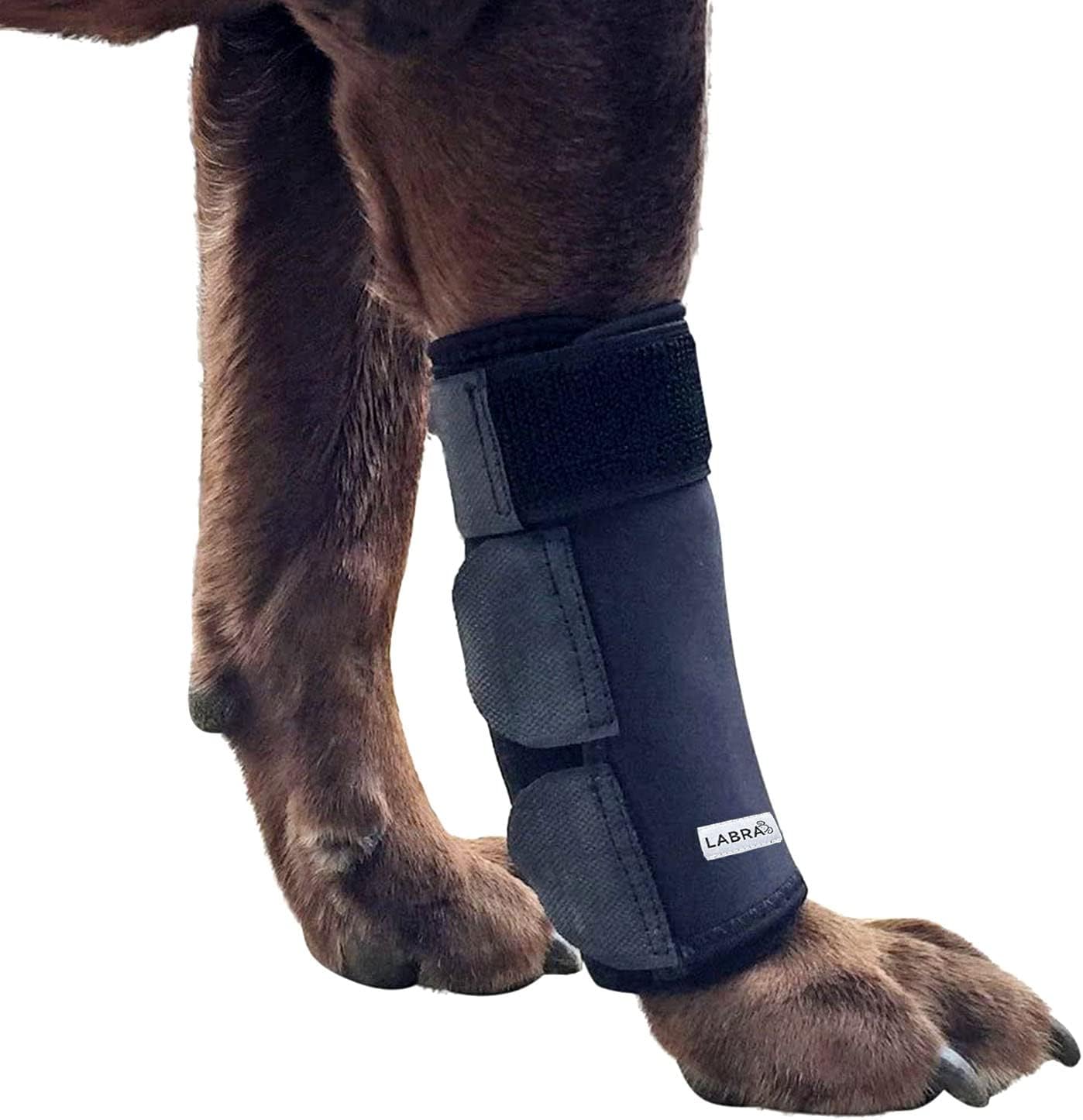 Knee Brace
