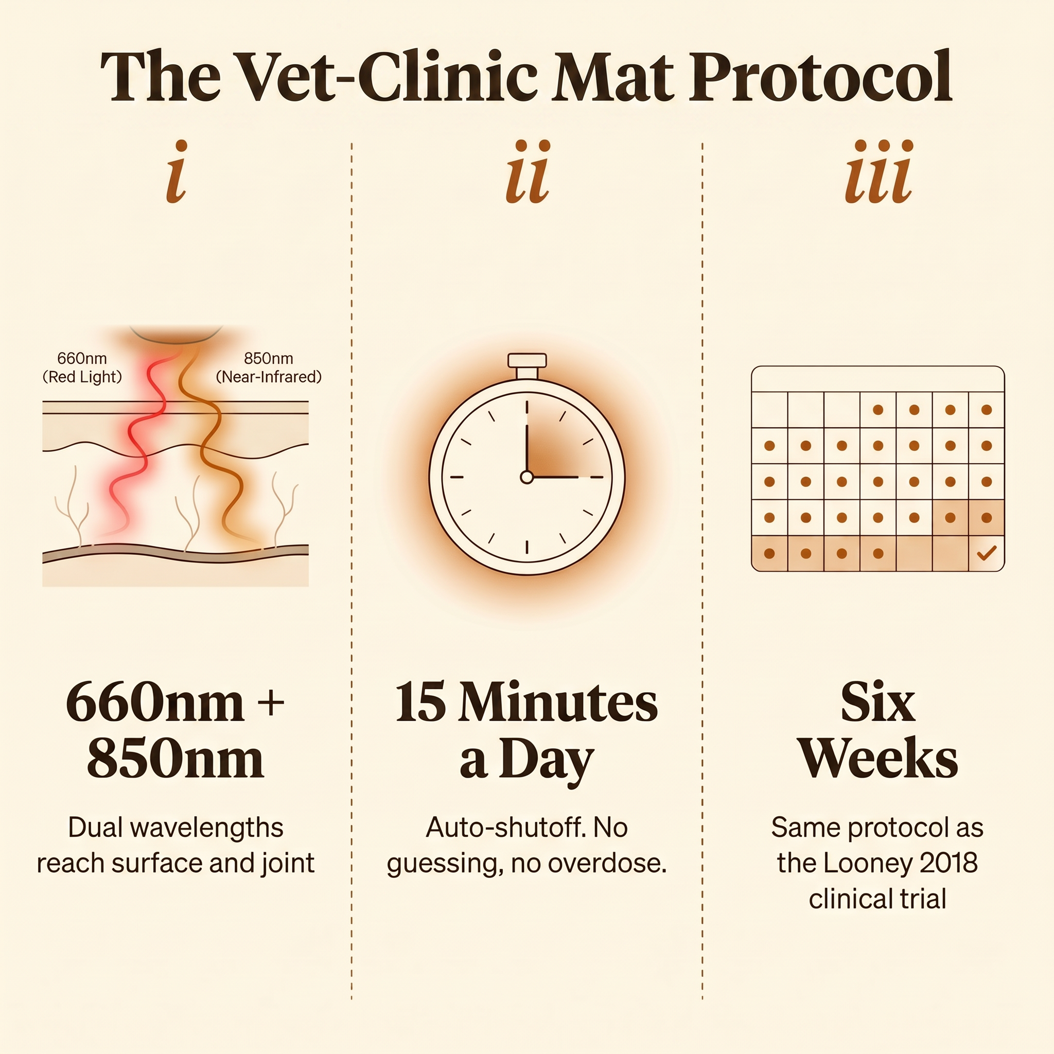 The Recovery Mat