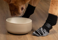 Anti-Slip Socks (One Size Fits All)
